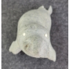 Image 9 : WALRUS BY UNKNOWN ARTIST - STONE & BONE