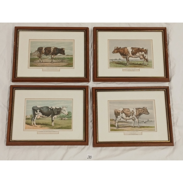 LOT OF 4 - EMRIK & BINGER FARM COWS - FRAMED LITHOGRAPH PRINTS