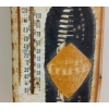 Image 2 : ORANGE CRUSH SST THERMOMETER