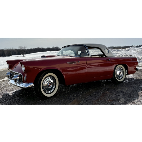 1955 FORD THUNDERBIRD - V8
