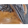 Image 3 : BALD EAGLE BY TIMLICK - WOOD