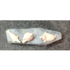 Image 6 : POLAR BEAR SUPRISE BY MAGGIE NAKOOLAK (PRS CDN ARTIST) - ANTLER & STONE
