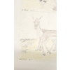 Image 2 : LOT OF 2 - "ALERT YOUNG CARIBOU" & "CARIBOU BY THE LAKE" BY JACOB IRKOK