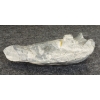Image 8 : BEAR TO SEAL TRANSFORMATION - SIGNED - STONE