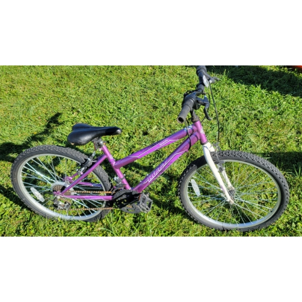 18 SPEED HUFFY BIKE