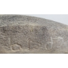 Image 5 : SEA CREATURE - SIGNED - BONE