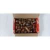 Image 2 : BULLETS: 100X HORNADY .44 - 180GR - HP / XTP