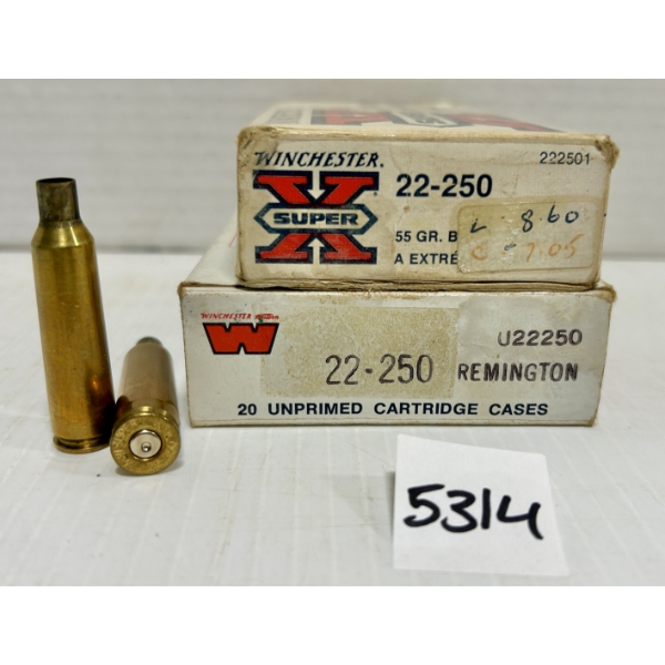 BRASS: 23X .22-250 ROUND