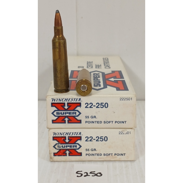 AMMO: 40X W-W SUPER X .22-250 REM - 55GR - PSP