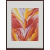 Image 3 : LOT OF 6 - MISC PRINTS BY GEORGIA O'KEEFEE (1887 - 1986) - INCL "WHITE TRUMPET FLOWER," ETC