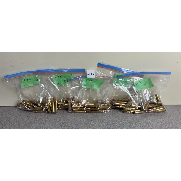 AMMO: 100X DNL .223 REM 55GR. FMJ