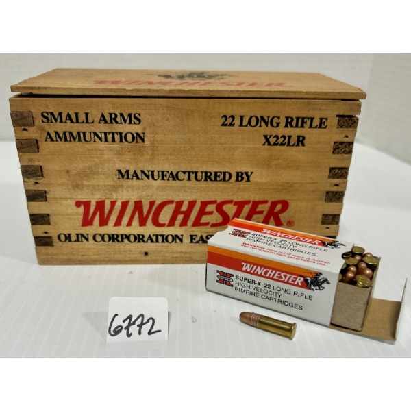 AMMO: 500X WINCHESTER .22 LR - 40 GR