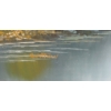 Image 3 : SUMMER MOUNTAIN SCENE BY G. WHITMAN - FRAMED OIL ON CANVAS