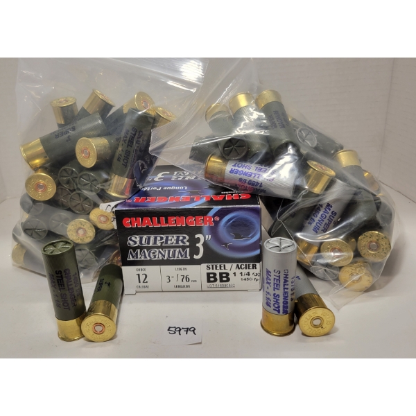 AMMO: 85X CHALLENGER 12GA - 3IN - STEEL BB & BBB 