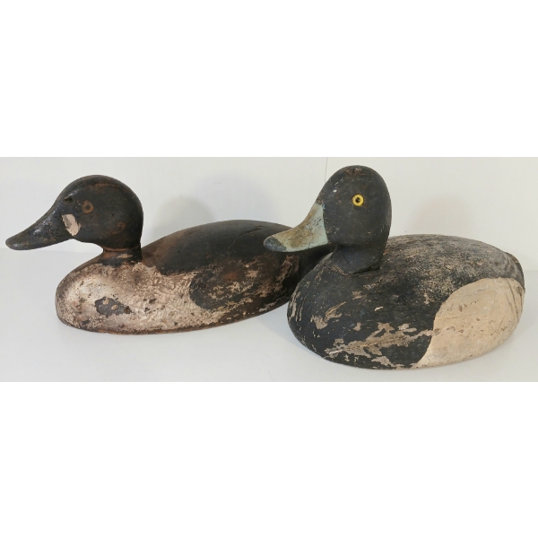 LOT OF 2 - GOLDEN EYED DECOY DUCKS