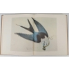 Image 5 : 1966 "THE ORIGINAL WATER-COLOR PAINTINGS BY JOHN JAMES AUDUBON" - HARDCOVER PUBLICATIONS