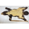 Image 4 : ALASKIAN WOLVERINE - VERY GOOD CONDITION