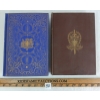 Image 2 : LOT OF 2 - "SOURCE RECORDS OF THE GREAT WAR" VOL. 4 & 5 - HARDCOVERS