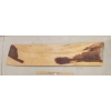 Image 1 : COCOBOLO WOOD SLAB - MILLED EDGE