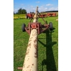 Image 3 : GRAIN AUGER W/ HOPPER - 8 INCH, 38 FT