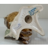Image 7 : LOT OF 3 - W. GOEBEL SCREECHOWL, BARN OWL & BALD EAGLE FIGURINES
