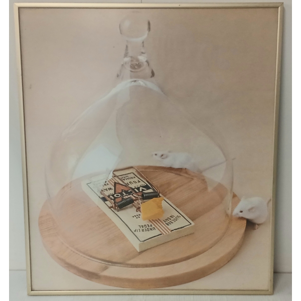 VICTOR MOUSE TRAP FRAMED PRINT