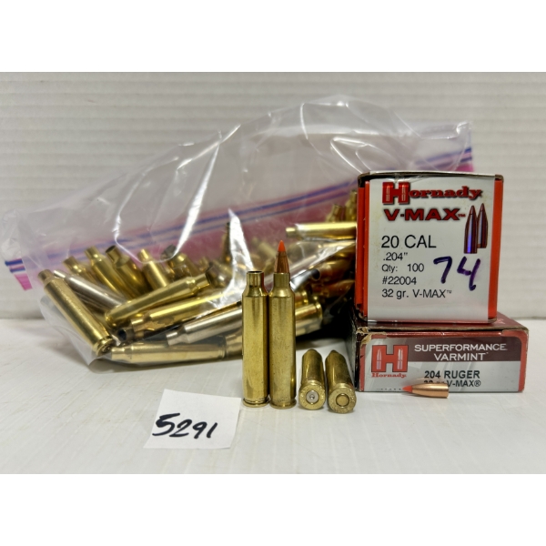 AMMO/BRASS: 8X LIVE & 100X BRASS & 74X BULLETS .204 RUGER