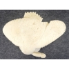 Image 7 : HAWK CARRYING CATCH BY KAROO ASHEVAK (1940 - 1974) - BONE