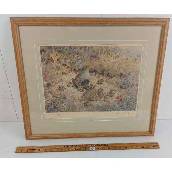 QUAIL SCENE BY PETER PARTINGTON (b1941) - FRAMED PRINT