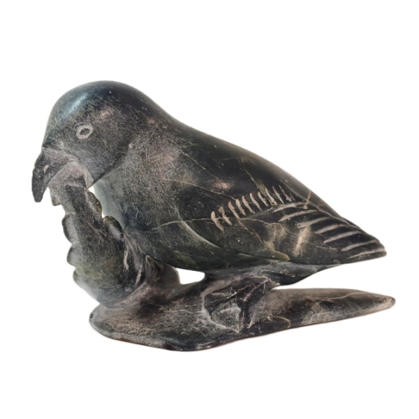 BIRD EATING FISH BY JOANASSIE OOMAYOUALOOK (PRS CDN ARTIST) - STONE