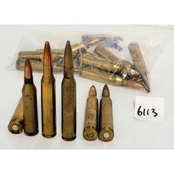 AMMO: 12X .243 WIN & 4X 270 WIN