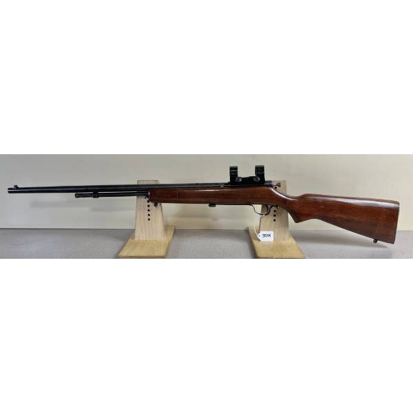 COOEY MODEL 60 IN .22 LR
