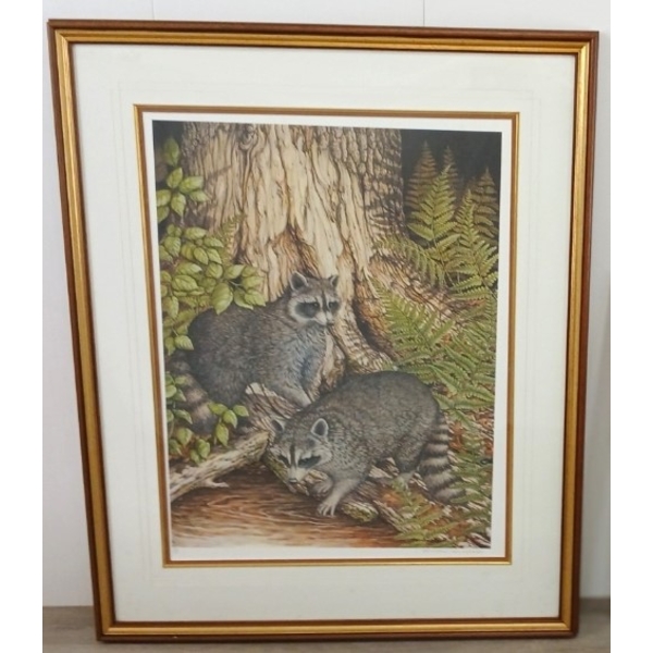 RACCOONS IN WATER BY CHRISTINE MARSHALL (PRS CDN ARTIST) - FRAMED PRINT