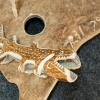 Image 8 : FISHERMAN & ARCTIC CHAR - SIGNED - ANTLER & WOOD