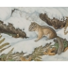 Image 2 : "THE CHIPMUNK" BY CHRISTINE MARSHALL (PRS CDN ARTIST) - FRAMED PRINT