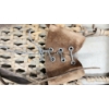 Image 3 : PAIR OF CHESTNUT CANOE CO. SNOW SHOES