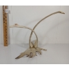 Image 2 : BIRDS - SIGNED - ANTLER