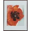Image 4 : LOT OF 6 - MISC PRINTS BY GEORGIA O'KEEFEE (1887 - 1986) - INCL "WHITE TRUMPET FLOWER," ETC