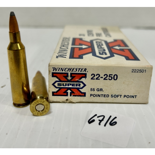 AMMO: 20X WINCHESTER .22-250 REM - 55 GR SP