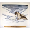 600  GENTLE MOMENTS  HARP SEALS BY CHRISTINE MARSHALL (PRS CDN ARTIST)  LITHO PRINT