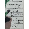 Image 2 : CITYSCAPE W/ PLANTS BY C.C.(?) - FRAMED MIXED MEDIA ON PAPER