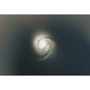 Image 5 : LEE ENFIELD NO. 4 MKII BARREL - RIFLED