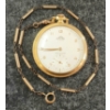 Image 1 : SOLAR POCKET WATCH - 21 JEWELS