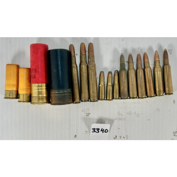 AMMO: 16X MIXED SHOTGUN & RIFLE CARTRIDGES