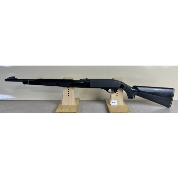REMINGTON NYLON 66 IN .22 LR 