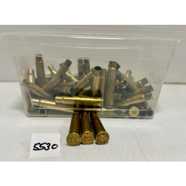 BRASS: 73X .303 BRIT 