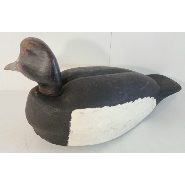 BLUEBILLED DECOY DUCK BY MACDONALD