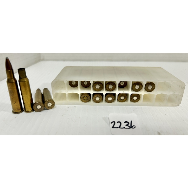 AMMO / BRASS: 11X LIVE & 5X BRASS .225 WIN - RELOADS