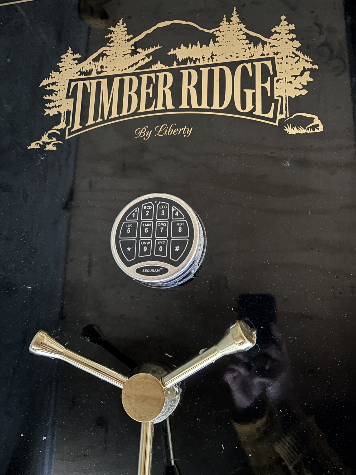 TIMBER RIDGE BY LIBERTY GUN SAFE W/ COMBO
