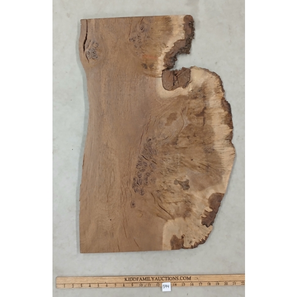 ENGLISH BROWN OAK BURL LIVE EDGE WOOD SLAB